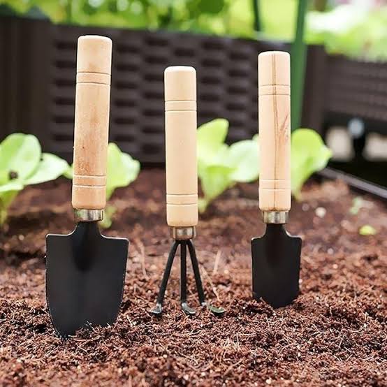 Mini Garden Hand Tools Set 3 Pcs